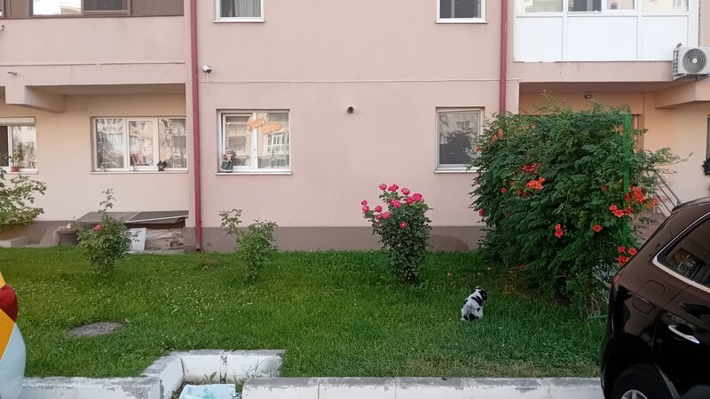 Spaiul Unirii 9, intre Sect. 3 si Popesti Leordeni